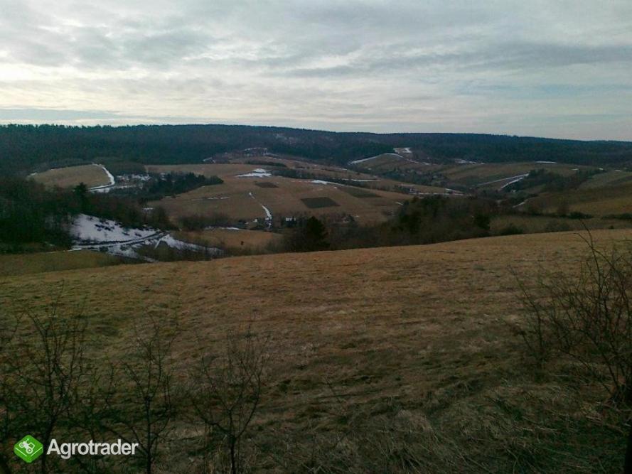 Ekoturystyka Natura Gwiazd - Green Velo - Workation Park - Ziolowy Klimat Bieszczad Dubiecko Buitenkant foto
